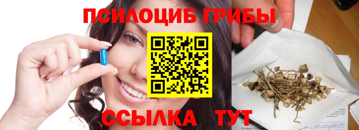Прокопьевск  Псилоцибиновые грибы Psilocybine cubensis  Вход с VPN 
